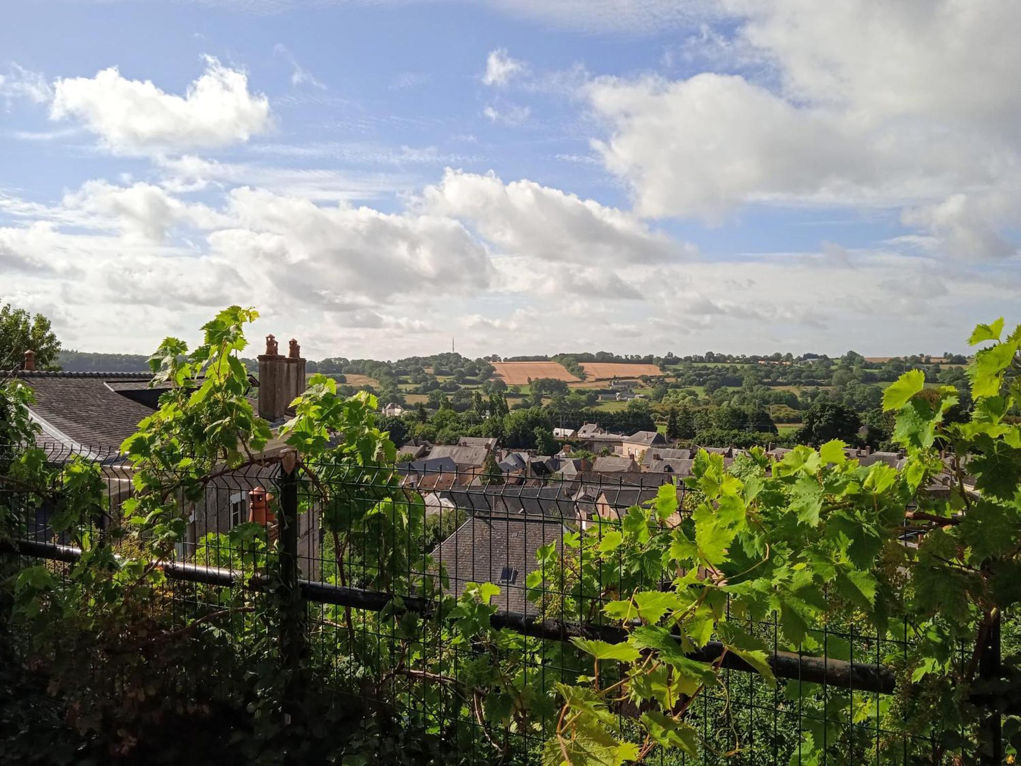 Sillé-le-Guillaume Charming Detached 2 Bedroom Ancient House In Medieval Quarter Of A Small Town In The Pays De La Loire, France מראה חיצוני תמונה